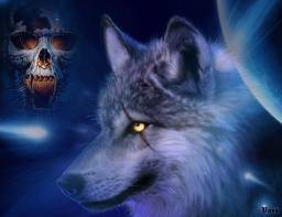wolf