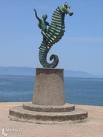 sea horse