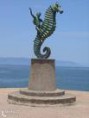 sea horse
